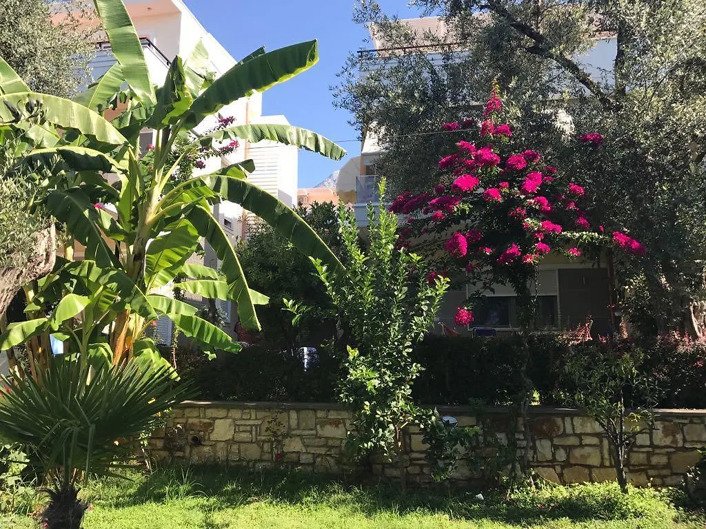 Semesterbostad Zbogo Elite Dhermi Villa